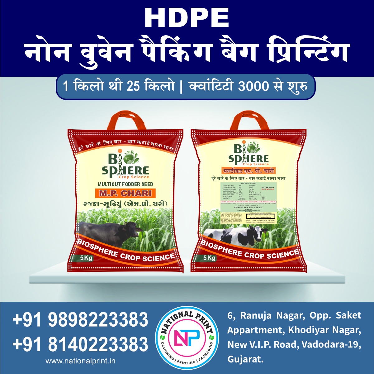 WhatsApp Image 2022-12-12 at 6.55.39 PM