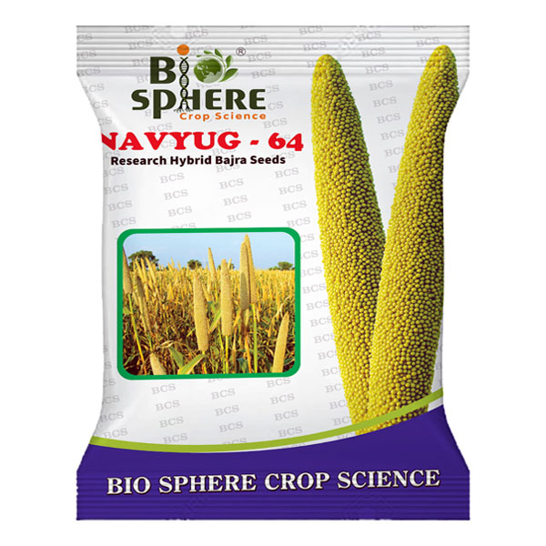 Without Cylinder Pouch Printing 64